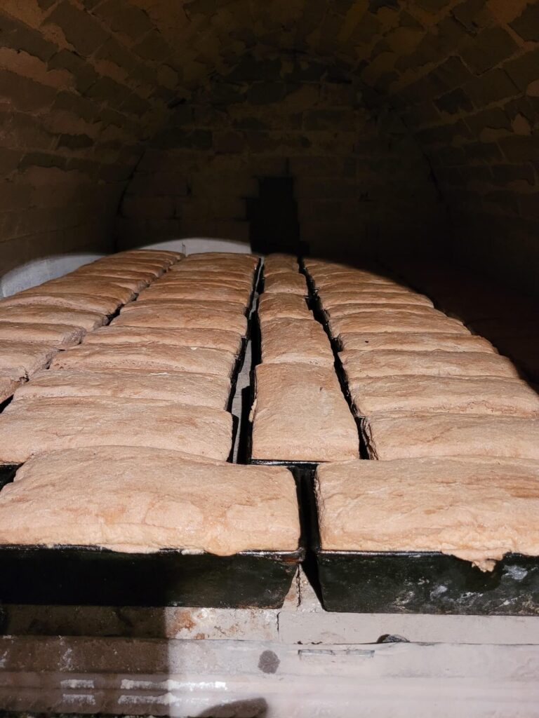 30d577a1 7734 44e7 9177 7817e777bc8c &ndash; Tu Kaszuby